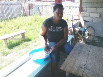 Grating coconut in preparation for the Sunday meal