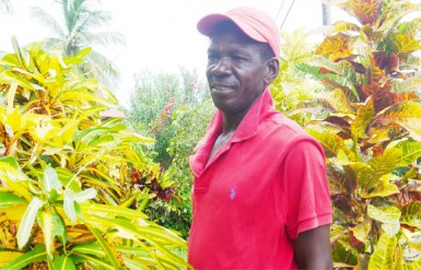 Curt Semple standing among some of his plants