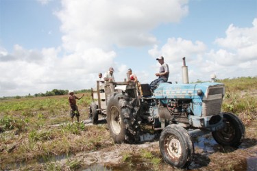 Laluni’s farm to market road is ‘hell’ to traverse except by tractor and trailer