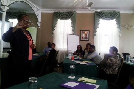Director of the Child Protection Agency Ann Greene addressing participants at the Media Stakeholders Workshop on Thursday at Cara Lodge