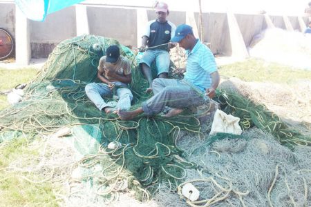 Fishermen hard at work on their seines