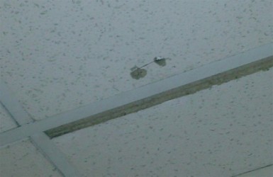 These bullet holes were left in the ceiling of the Rubis Gas Station’s mini mart after the gunman fired the two warning shots
