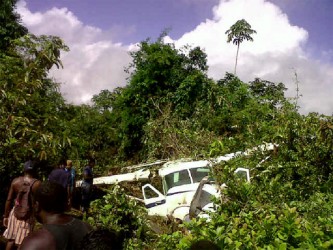 The plane at the crash site.