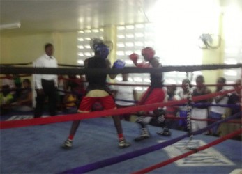 Action between Travis Hubbard and Quincy Boyce on yesterday’s final day of the Guyana Amateur Boxing Association Demerara Distillers Limited-sponsored U16 boxing championships at Andrew `Six Head’ Lewis Gym.