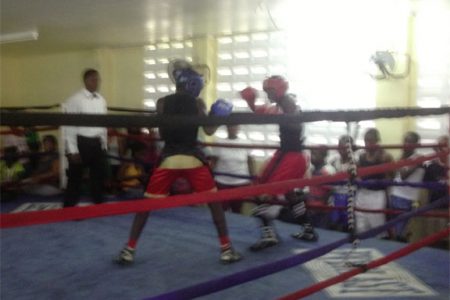Action between Travis Hubbard and Quincy Boyce on yesterday’s final day of the Guyana Amateur Boxing Association Demerara Distillers Limited-sponsored U16 boxing championships at Andrew `Six Head’ Lewis Gym.