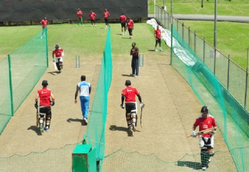 The Red Steel boys at net sessions in the nets yesterday. 