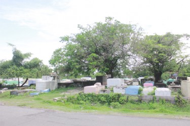 The cemetery located on the Victoria Middle Walk (Arian Browne photo)