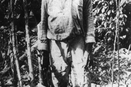 Yoruba farmer in British Guiana among his yam plants