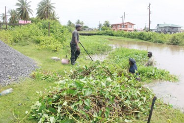 Cleaning a trench in Victoria (Arian Browne photo)