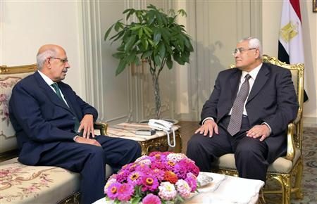 Egypt's interim President Adli Mansour (R) meets with opposition leader and former U.N. nuclear agency chief Mohamed ElBaradei at El-Thadiya presidential palace in Cairo in this handout picture dated July 6, 2013.
REUTERS/Egyptian Presidency/Handout