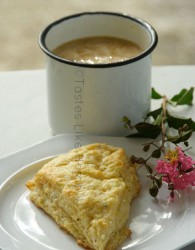 Milo with Cheese Scone (Photo by Cynthia Nelson)