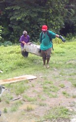Undertakers removing the body of Delon Melville from Barnwell North, Mocha, yesterday. 