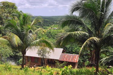 House set into the side of the hill giving it a panoramic view.