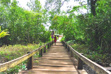 The wooden walkway leading to the Kumaka landing.