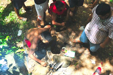 Bush cook: preparing lunch after a swim in the falls