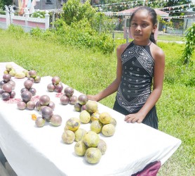 12-year-old Amisha Jaglall assists her  parents to sell fruits that they reaped  from their farm in the backdam