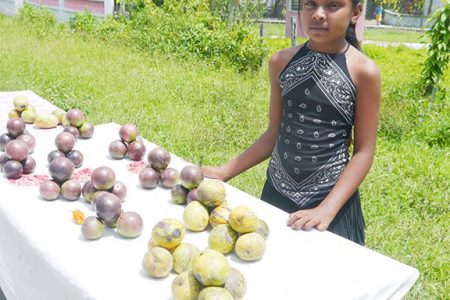12-year-old Amisha Jaglall assists her
parents to sell fruits that they reaped
from their farm in the backdam