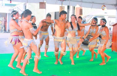 Dancers from the St. Cuthbert’s Mission performing the ‘Hummingbird Dance’ at the launch of Amerindian Heritage Month 2013 yesterday on the lawns of the Culture Ministry. (Photo by Arian Browne)