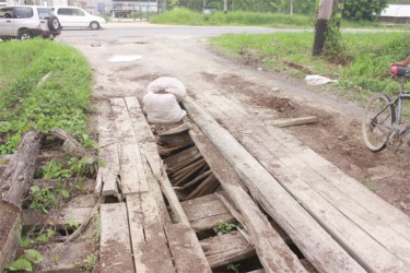 The decrepit bridge leading into Garden of Eden collapsed on Sunday.