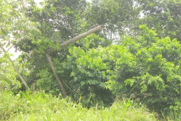 The broken electricity pole at Garden of Eden 