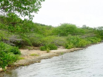  The controversial Goat Islands, the proposed site for a logistics hub in Jamaica (Gleaner File photo)  