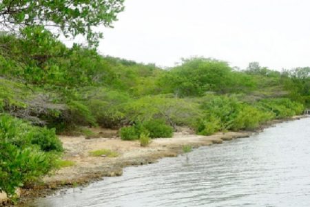 The controversial Goat Islands, the proposed site for a logistics hub in Jamaica (Gleaner File photo)  