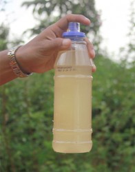 A sample of water from the Konawaruk River. 