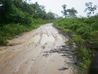 A section of the deplorable road that leads to Bendorff