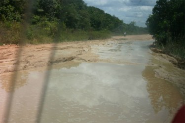  A small portion of what commuters endure on the Linden/ Kwakwani Road.