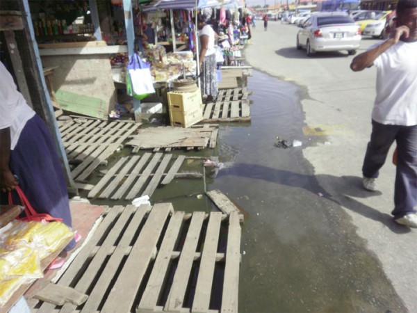 A view of the stagnant water under numerous stalls 