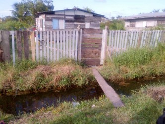 The drain in front of their home at Sophia where one-year-old Dequan was found floating by his mother.