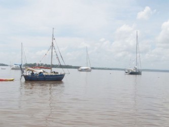 Some of the yachts anchored outside of the Hurakabra Resort on the West Bank of the Essequibo River (GINA photo) 