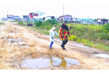 Residents traversing a deplorable street