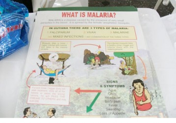 A flyer on malaria (GINA photo)