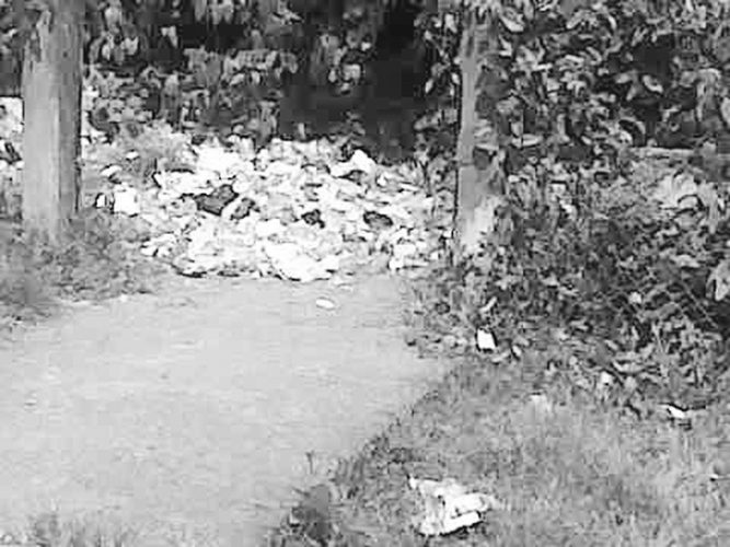 The garbage dumped outside the school’s back gate.