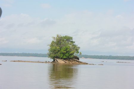 A miniature island in the Essequibo River (Photo by Arian Browne)