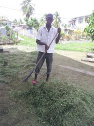 A resident rakes up dried grass