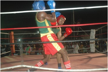 Action in the bout between Clairmont Gibson and Kevin Ting-A-Kee.