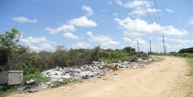 Garbage strewn along the pathway to the GPL sub-station (Photo compliments of GPL)