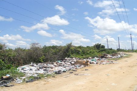 Garbage strewn along the pathway to the GPL sub-station (Photo compliments of GPL)