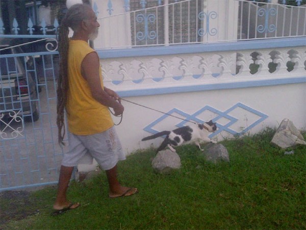 North Sophia resident Marcus walks his five-year-old cat “Climb Up” around the neighbourhood yesterday afternoon (Photo by Chevy Devonish) 