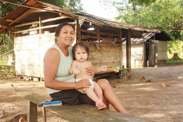 Arca Roberts and her grandchild at Campbelltown. 