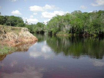 A beautiful view of the Mahaica creek. (Arian Browne photo)