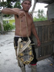 A resident holds up a turtle he had recently captured. (Arian Browne photo)