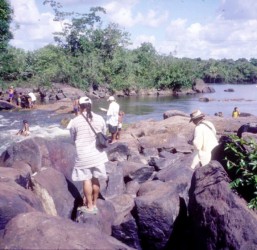  Field survey at Kurupukari, Iwokrama  