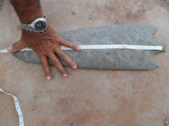 The giant spearhead found at Sawariwau, Rupununi. 