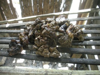 Some wild meat being prepared for sale. (Arian Browne photo)