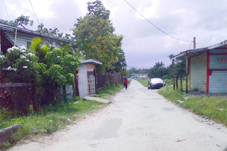 Village access road