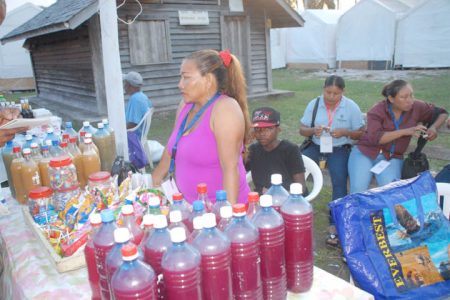 One of the more prominent displays of potent Amerindian ‘beverages’ was brought to GuyExpo by Jenny. These days she resides in Linden but wants it to be known that her roots are in Region Nine and that she is part of the Wapishana tribe.