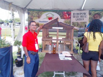 Mahadeo Mansara, production technician for Shadehouse Vegetables, which is a Partners of the Americas project funded by the IDB and the Japanese Trust Fund, showcases a scale phase two shadehouse which will fully utilise hydroponic technology at GuyExpo 2013.